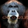 google-seo-tippek