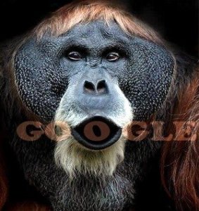 Keresőmarketing Agorafóbia