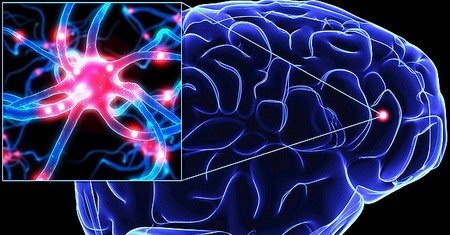 kognitív pánikterápia